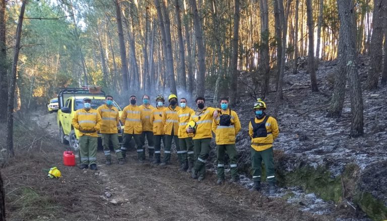 BRIGADAS DE SAPADORES FLORESTAIS DO ALTO ALENTEJO