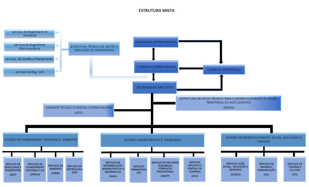 Estrutura Mista Organograma (2024 v2)