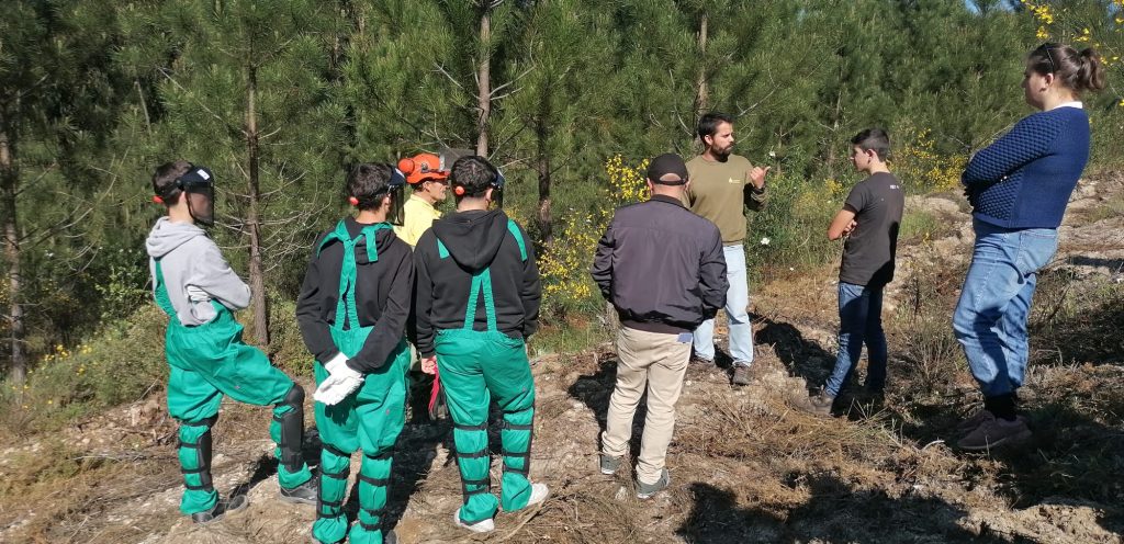 Sapadores Florestais dinamizam sessão prática de esclarecimento direcionada a jovens estudantes