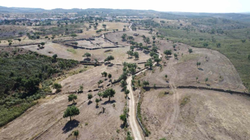 Resultado do Silvicultura no Alto Alentejo