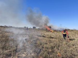 Brigada de Sapadores Florestais da CIMAA em ação de fogo controlado em Castelo de Vide