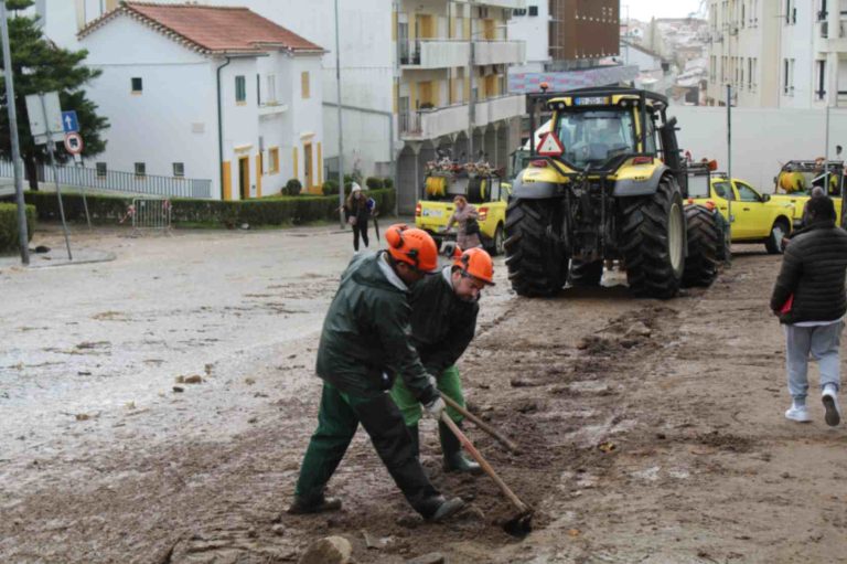 Brigada de Sapadores Florestais da CIMAA em apoio ao Município de Portalegre