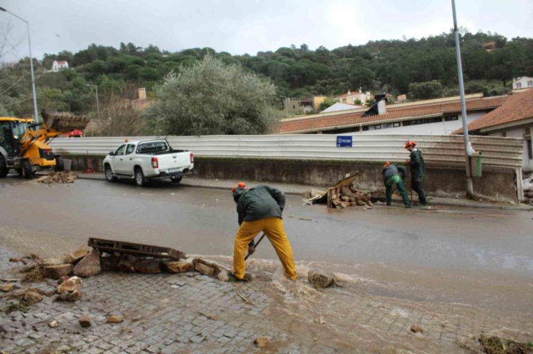 Brigada de Sapadores Florestais da CIMAA em apoio ao Município de Portalegre